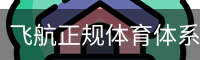 飞航正规体育体系